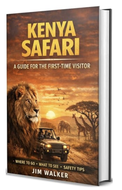 Kenya Safari: A Guide for the First-Time Visitor