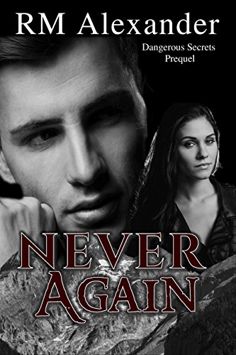 Never Again Romantic Suspense Book Giveaway | Book Luver
