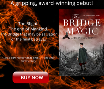 Bridge to Magic novel