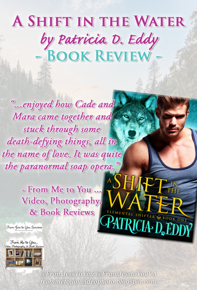 A SHIFT IN THE WATER by Patricia D. Eddy [ #BookReview ] -- 4 out of 5 stars