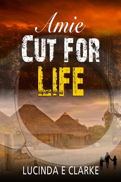 Book 4 in the Amie in Africa series