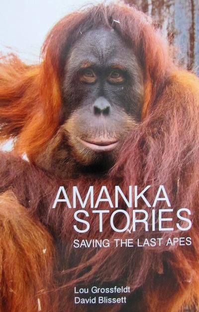 Amanka Stories