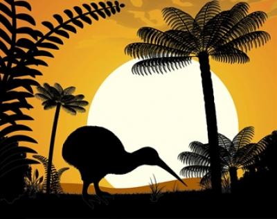 Silhouette of a Kiwi against New Zealand ferns