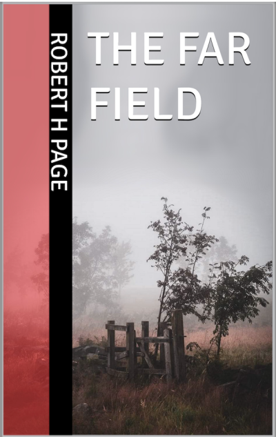 The Far Field - Crime Thriller Mystery by Robert H Page