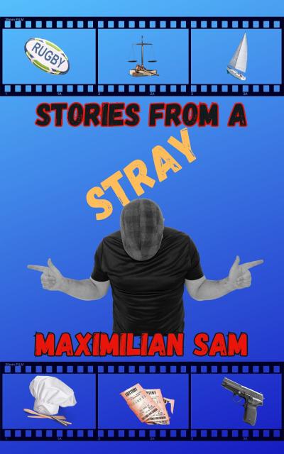 Cover of Stories From A Stray