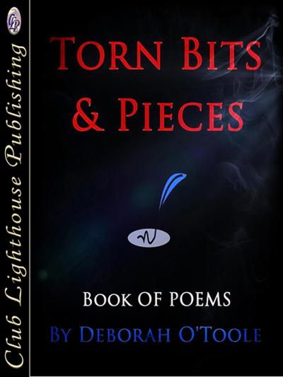 TORN BITS & PIECES by Deborah O'Toole