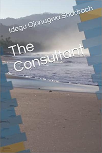The Consultant 