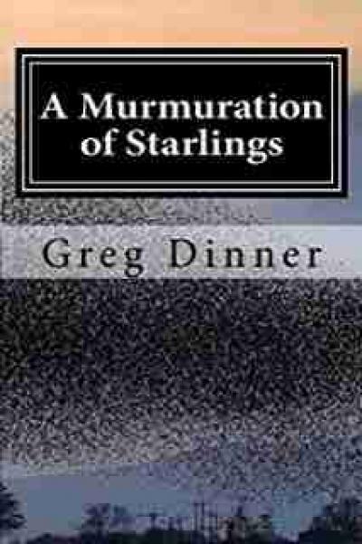 A Murmuration of Starlings by Greg Dinner