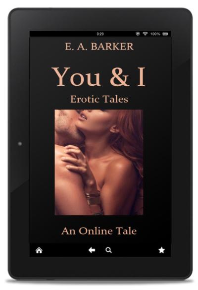 You & I Erotic Tales Series Book Two: An Online Tale e-book Novelette