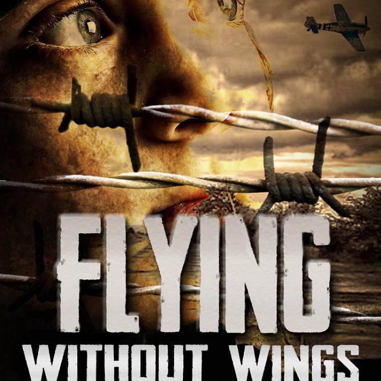 Flying Without Wings By Paula Wynne