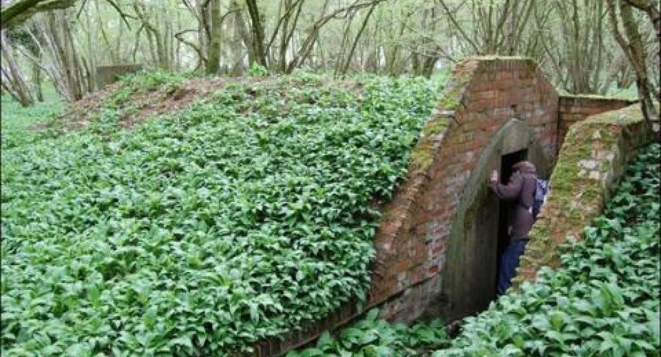 World War II air raid shelter hidden in woodland around Chedworth's disused airfield. I used this idea for inspiration while writing Flying Without Wings.