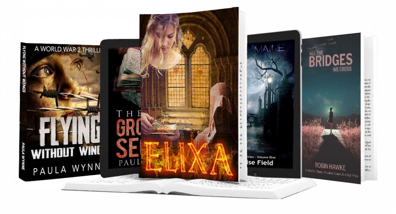 Author Book Cover Designs By Book Luver