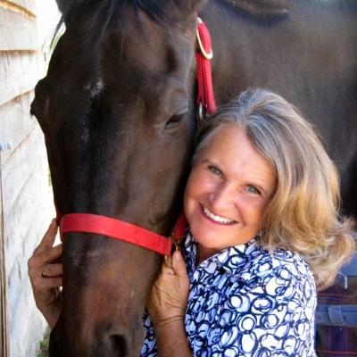 Profile picture for user mjevans