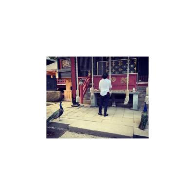 Profile picture for user eikyo matsunaga